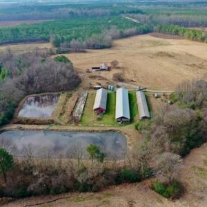 Photo #24 of SOLD property in Off Bolton Road, Rich Square, NC 38.5 acres
