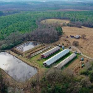 Photo #25 of SOLD property in Off Bolton Road, Rich Square, NC 38.5 acres