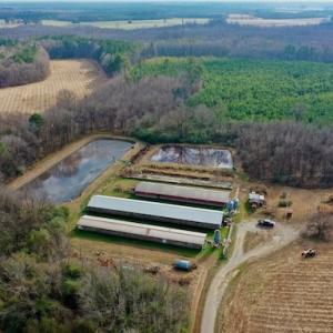 Photo #26 of SOLD property in Off Bolton Road, Rich Square, NC 38.5 acres