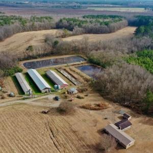 Photo #27 of SOLD property in Off Bolton Road, Rich Square, NC 38.5 acres