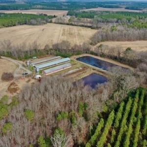 Photo #28 of SOLD property in Off Bolton Road, Rich Square, NC 38.5 acres
