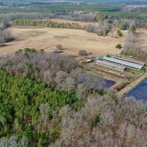 Photo #29 of SOLD property in Off Bolton Road, Rich Square, NC 38.5 acres