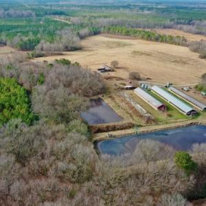 Photo #30 of SOLD property in Off Bolton Road, Rich Square, NC 38.5 acres