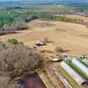 Photo #31 of SOLD property in Off Bolton Road, Rich Square, NC 38.5 acres