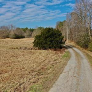Photo #33 of SOLD property in Off Bolton Road, Rich Square, NC 38.5 acres