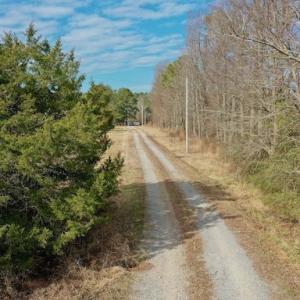 Photo #34 of SOLD property in Off Bolton Road, Rich Square, NC 38.5 acres