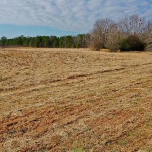 Photo #36 of SOLD property in Off Bolton Road, Rich Square, NC 38.5 acres