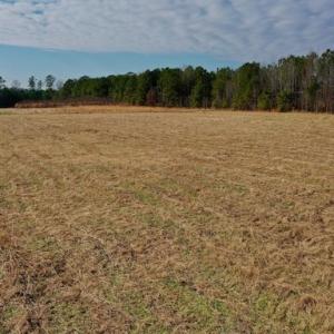 Photo #37 of SOLD property in Off Bolton Road, Rich Square, NC 38.5 acres