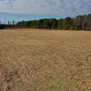 Photo #37 of SOLD property in Off Bolton Road, Rich Square, NC 38.5 acres