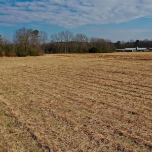 Photo #38 of SOLD property in Off Bolton Road, Rich Square, NC 38.5 acres
