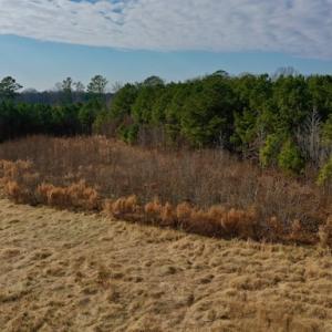 Photo #39 of SOLD property in Off Bolton Road, Rich Square, NC 38.5 acres