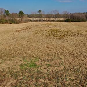 Photo #40 of SOLD property in Off Bolton Road, Rich Square, NC 38.5 acres