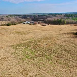 Photo #42 of SOLD property in Off Bolton Road, Rich Square, NC 38.5 acres