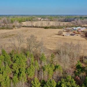Photo #43 of SOLD property in Off Bolton Road, Rich Square, NC 38.5 acres