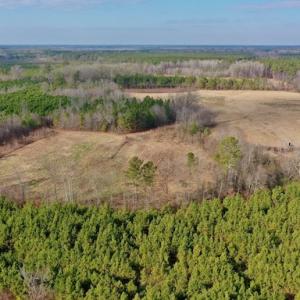 Photo #44 of SOLD property in Off Bolton Road, Rich Square, NC 38.5 acres