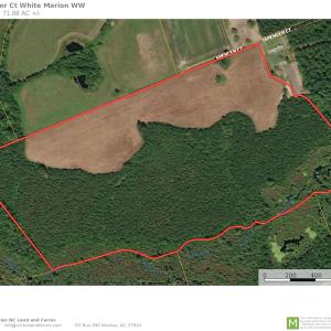 Photo #1 of SOLD property in Off Spencer Court, Marion, SC 71.9 acres