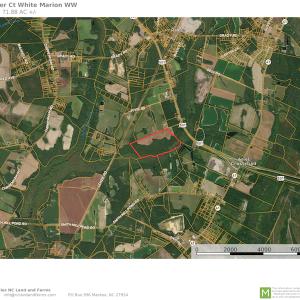 Photo #22 of SOLD property in Off Spencer Court, Marion, SC 71.9 acres