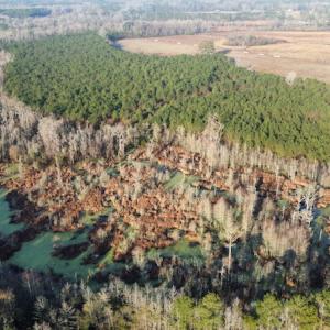 Photo #2 of SOLD property in Off Spencer Court, Marion, SC 71.9 acres