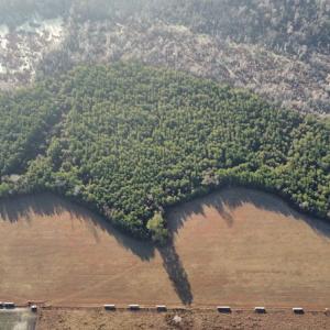 Photo #3 of SOLD property in Off Spencer Court, Marion, SC 71.9 acres