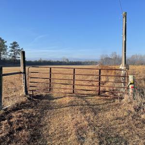 Photo #4 of SOLD property in Off Spencer Court, Marion, SC 71.9 acres