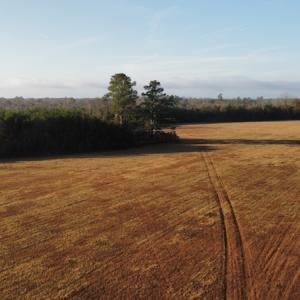 Photo #5 of SOLD property in Off Spencer Court, Marion, SC 71.9 acres
