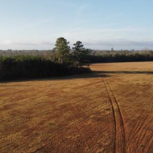 Photo #5 of Off Spencer Court, Marion, SC 71.9 acres