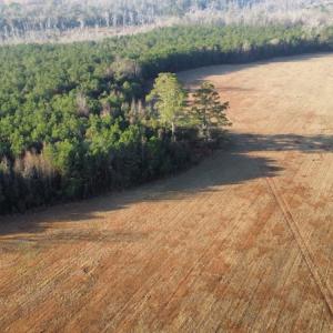 Photo #6 of Off Spencer Court, Marion, SC 71.9 acres