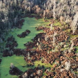 Photo #7 of SOLD property in Off Spencer Court, Marion, SC 71.9 acres