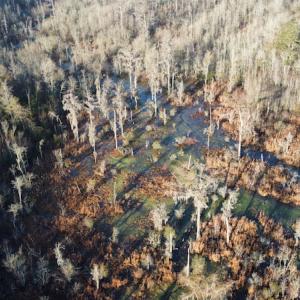 Photo #9 of SOLD property in Off Spencer Court, Marion, SC 71.9 acres
