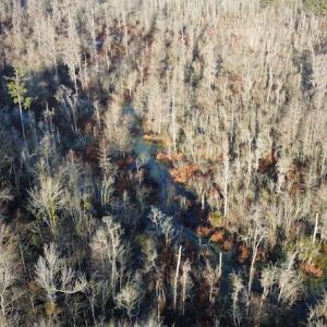 Photo #10 of SOLD property in Off Spencer Court, Marion, SC 71.9 acres