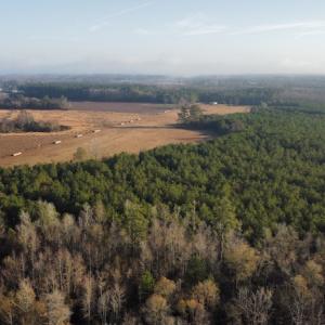 Photo #11 of SOLD property in Off Spencer Court, Marion, SC 71.9 acres