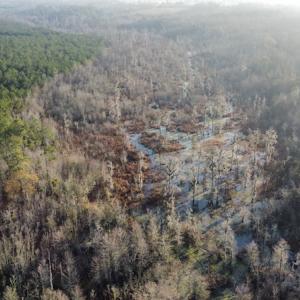 Photo #12 of SOLD property in Off Spencer Court, Marion, SC 71.9 acres