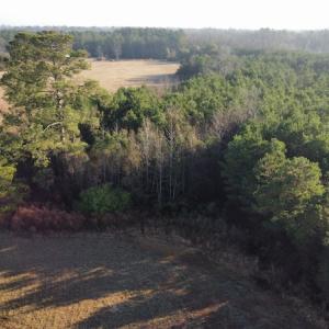Photo #13 of SOLD property in Off Spencer Court, Marion, SC 71.9 acres