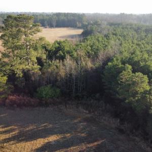 Photo #13 of Off Spencer Court, Marion, SC 71.9 acres