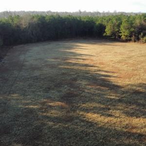 Photo #14 of SOLD property in Off Spencer Court, Marion, SC 71.9 acres