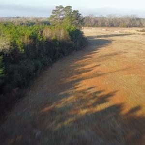 Photo #15 of SOLD property in Off Spencer Court, Marion, SC 71.9 acres