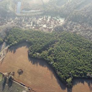 Photo #16 of SOLD property in Off Spencer Court, Marion, SC 71.9 acres