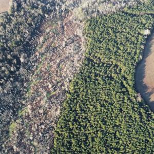 Photo #17 of SOLD property in Off Spencer Court, Marion, SC 71.9 acres