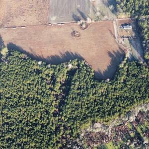 Photo #18 of SOLD property in Off Spencer Court, Marion, SC 71.9 acres