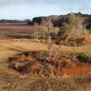 Photo #21 of SOLD property in Off Spencer Court, Marion, SC 71.9 acres