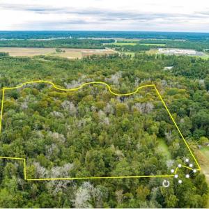 Photo #12 of SOLD property in Off Chattanooga Drive, Pembroke, NC 9.5 acres