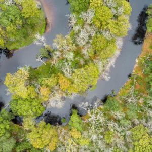 Photo #14 of SOLD property in Off Chattanooga Drive, Pembroke, NC 9.5 acres
