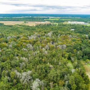 Photo #6 of SOLD property in Off Chattanooga Drive, Pembroke, NC 9.5 acres