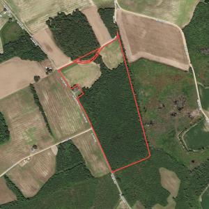 Photo #1 of SOLD property in Off Oliver Road, Dillon, SC 46.0 acres