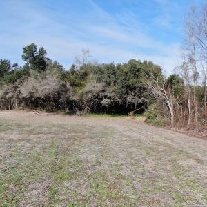 Photo #4 of SOLD property in Off Oliver Road, Dillon, SC 46.0 acres