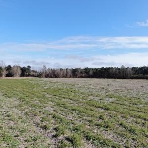 Photo #5 of SOLD property in Off Oliver Road, Dillon, SC 46.0 acres