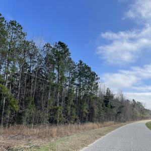 Photo #8 of SOLD property in Off Oliver Road, Dillon, SC 46.0 acres