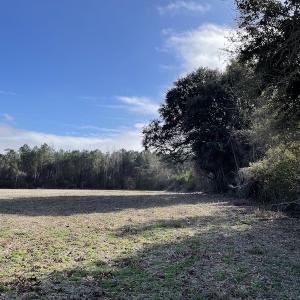 Photo #11 of SOLD property in Off Oliver Road, Dillon, SC 46.0 acres