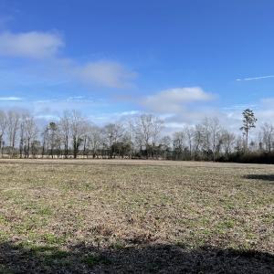 Photo #12 of SOLD property in Off Oliver Road, Dillon, SC 46.0 acres