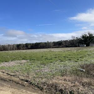 Photo #16 of SOLD property in Off Oliver Road, Dillon, SC 46.0 acres